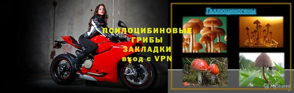 сатива Богородицк